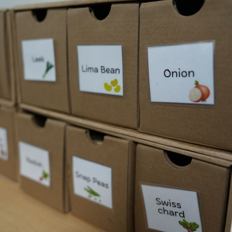 A storage unit with small cardboard drawers is labeled with garden vegetables